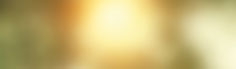 Lorem Ipsum